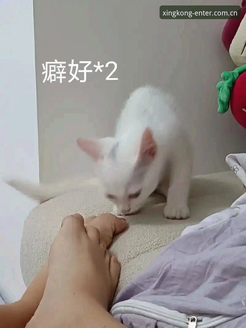 每一次点击都是星河起点实时比分 各位老弟老妹儿,我啊,是个看了二十年球的体育老编辑。平时在咱们星空入口这块地儿,跟大家伙儿扯扯赛事、聊聊数据,倒也自在。今天想跟大家聊个事儿,我琢磨了挺久:男人,尤其是年轻小伙子,到底是怎么一步步把自己活成一座孤岛的?